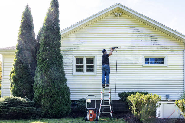 Best Solar Panel Cleaning  in Moosic, PA
